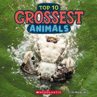 Cover image for Grossest Animals (Wild World: Top 10)