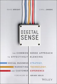 Cover image for Digital Sense - The Common Sense Approach to Effectively Blending Social Business Strategy, Markteting Technology, and Customer Experience