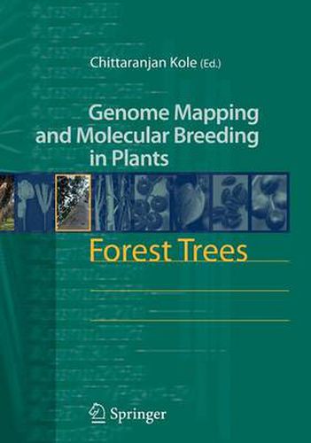 Cover image for Forest Trees