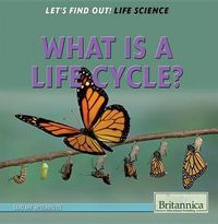 Cover image for What Is a Life Cycle?