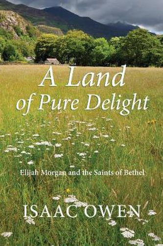 A Land of Pure Delight: Elijah Morgan and the Saints of Bethel