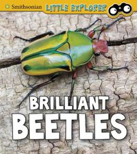 Cover image for Brilliant Beetles