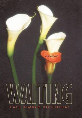 Cover image for Waiting