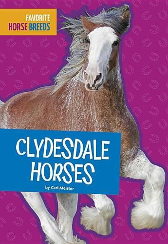 Cover image for Clydesdale Horses
