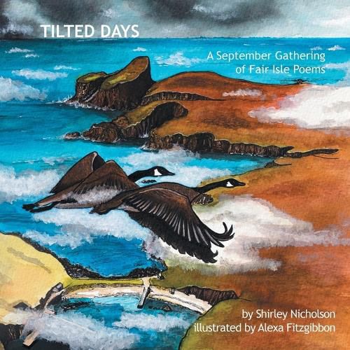 Cover image for Tilted Days