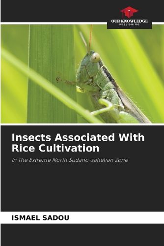 Cover image for Insects Associated With Rice Cultivation