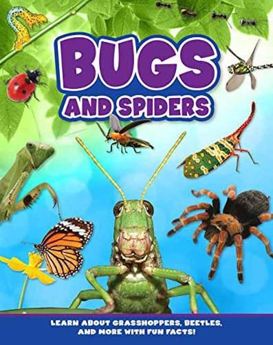 Cover image for Bugs and Spiders