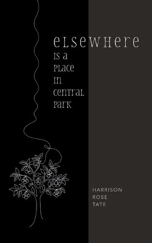 Cover image for Elsewhere is a Place in Central Park