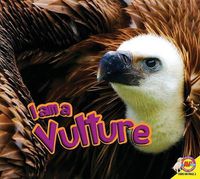 Cover image for I Am a Vulture