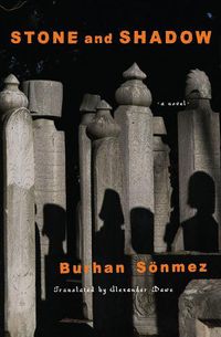 Cover image for Stone and Shadow: A Novel