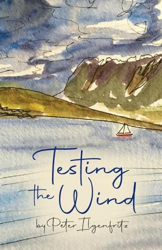 Cover image for Testing the Wind