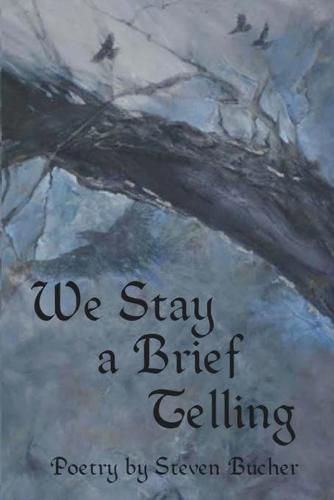 Cover image for We Stay a Brief Telling