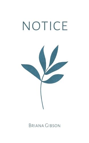 Cover image for Notice