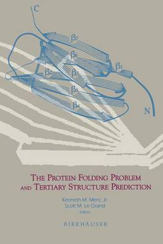 The Protein Folding Problem and Tertiary Structure Prediction