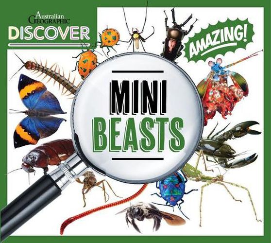 Australian Geographic Discover: Minibeasts