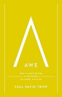 Cover image for Awe: Why It Matters for Everything We Think, Say, and Do