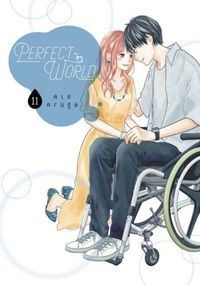 Cover image for Perfect World 11