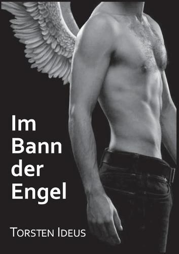 Cover image for Im Bann der Engel