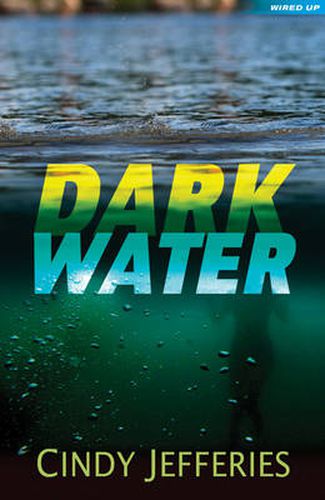 Cover image for Dark Water