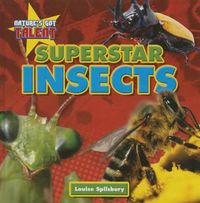 Cover image for Superstar Insects