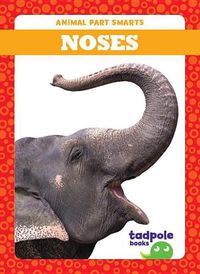 Cover image for Noses