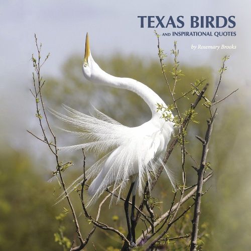 Cover image for Texas Birds and Inspirational Quotes