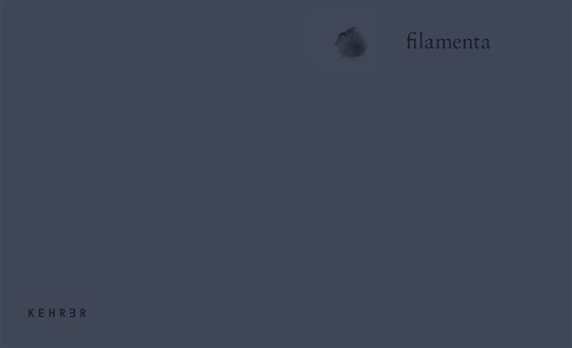 Cover image for Filamenta