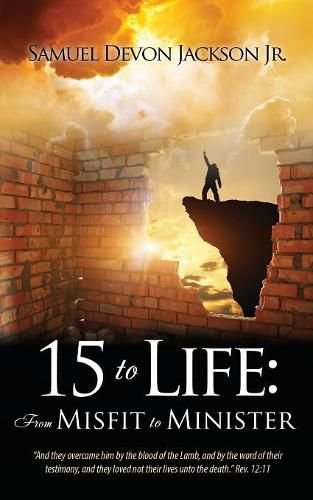 Cover image for 15 to Life