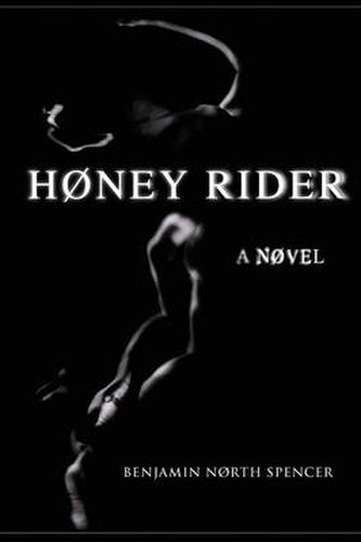 Cover image for Honey Rider: A Novel