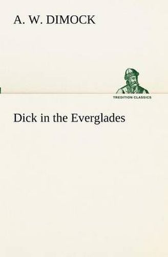 Cover image for Dick in the Everglades