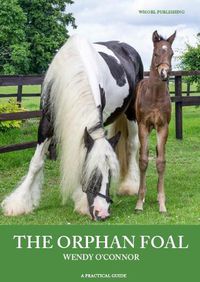 Cover image for The Orphan Foal