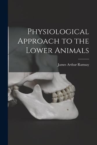 Cover image for Physiological Approach to the Lower Animals