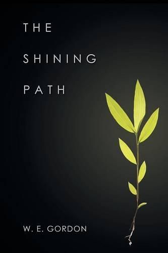 Cover image for The Shining Path