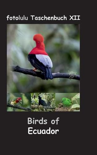 Cover image for Birds of Ecuador: fotolulu Taschenbuch XII