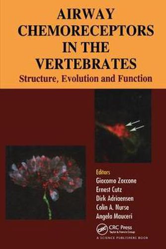 Cover image for Airway Chemoreceptors in the Vertebrates: Structure, Evolution and Function