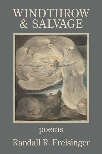 Cover image for Windthrow and Salvage