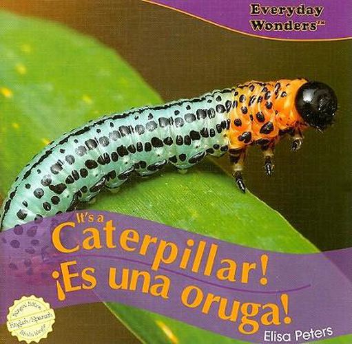 It's a Caterpillar! / !Es Una Oruga!