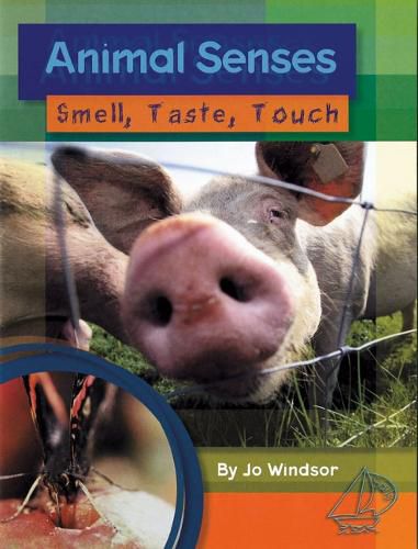 Cover image for MainSails 1: Animal Senses: Smell, Taste, Touch