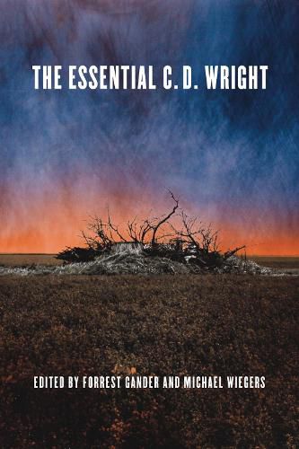 Cover image for The Essential C.D. Wright