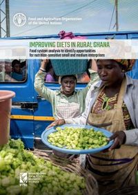 Cover image for Improving diets in rural Ghana: food system analysis to identify opportunities for nutrition-sensitive small and medium enterprises