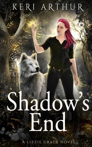 Cover image for Shadow's End