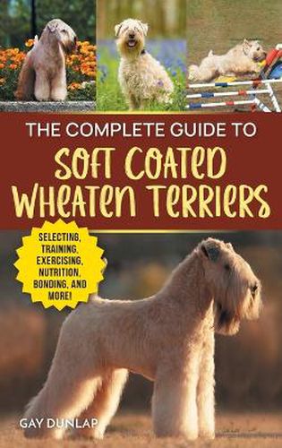 Cover image for The Complete Guide to Soft Coated Wheaten Terriers