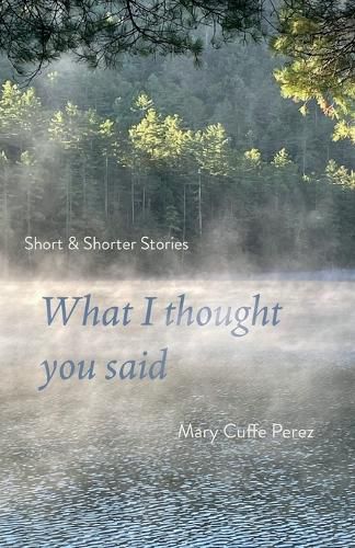 Cover image for What I Thought You Said