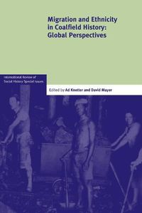 Cover image for Migration and Ethnicity in Coalfield History: Global Perspectives