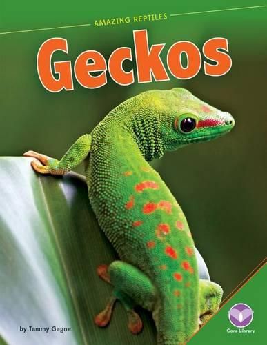 Cover image for Geckos