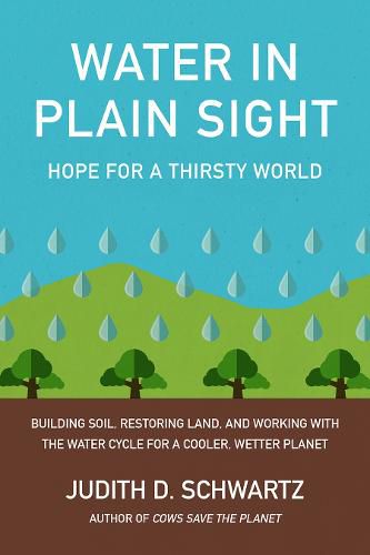 Cover image for Water in Plain Sight: Hope for a Thirsty World