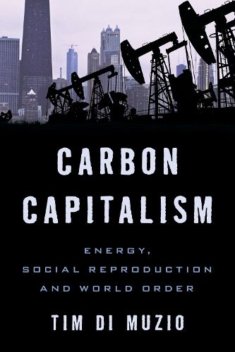 Cover image for Carbon Capitalism: Energy, Social Reproduction and World Order