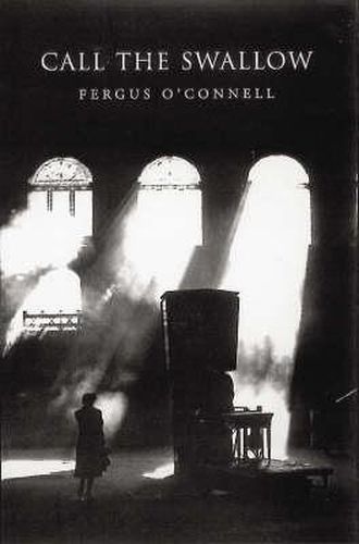 Cover image for Call the Swallow