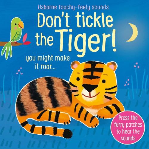 Cover image for Don't Tickle the Tiger!