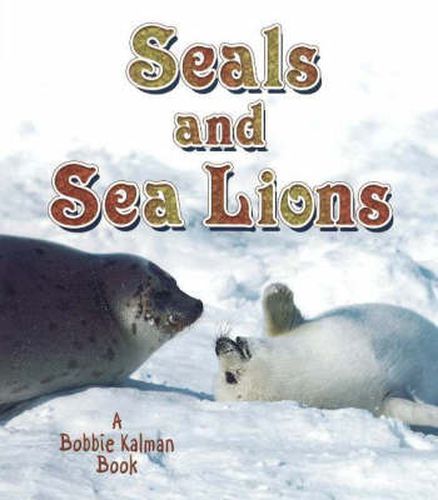 Seals and Sea Lions